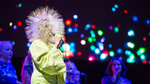 Berlin Festival 2013