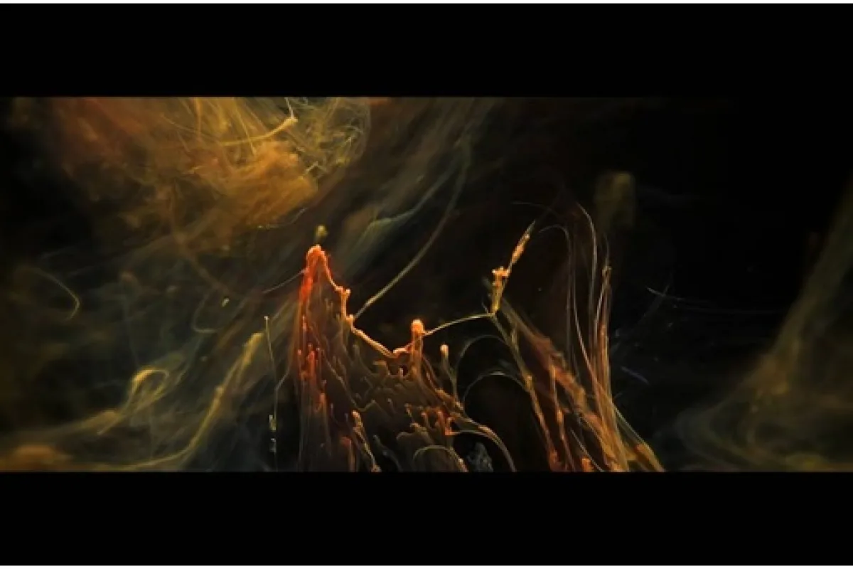 ROBOT KOCH Teams with Visual Artist Mickael Le Goff For Mesmerizing “Care” Video