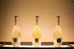 ENTER.SACCA | An Evening of Sake, Food & Music hosted by Richie Hawtin and SACCA